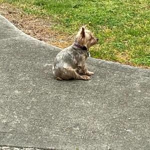 Meet your Posher, Pat